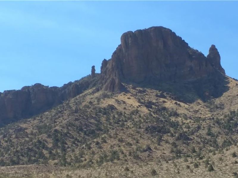 Nice Land That Backs up to Blm Land : Dolan Springs : Mohave County : Arizona