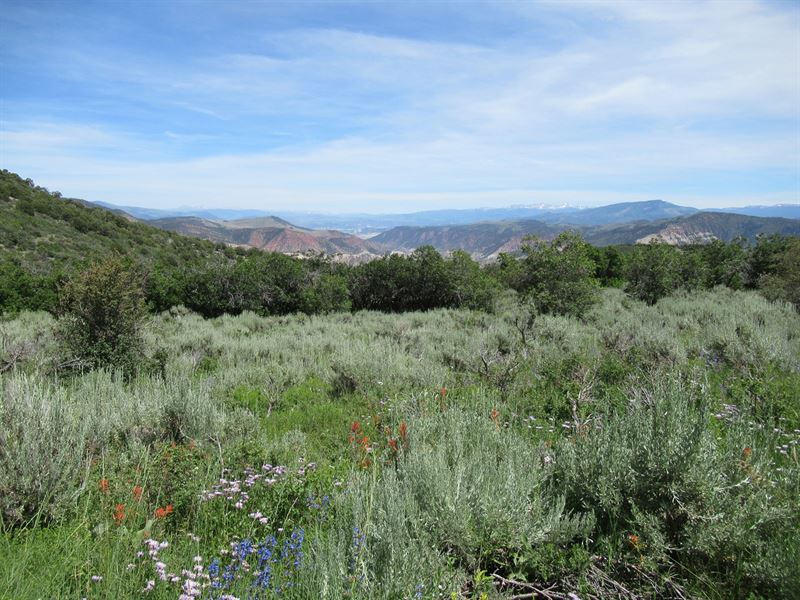Colorado Hunting Land Flattops : Gypsum : Garfield County : Colorado