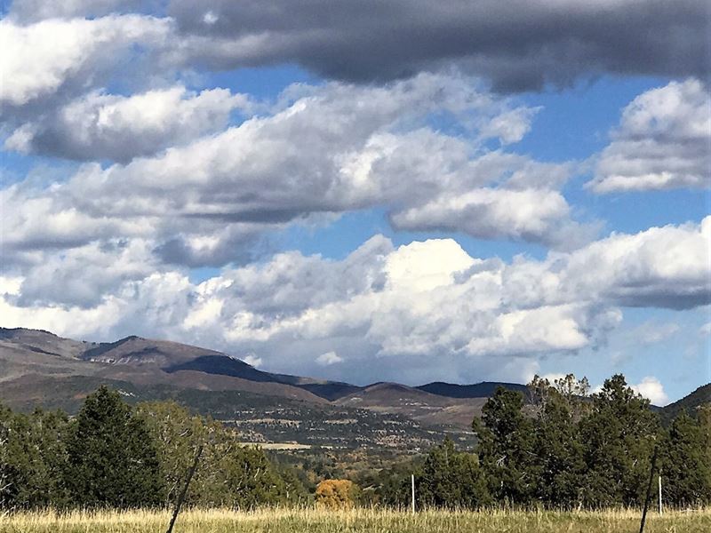 Vacant Land Irrigated Acreage CO : Collbran : Mesa County : Colorado