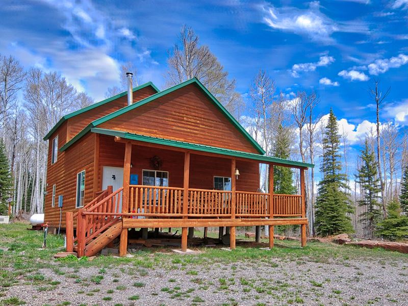 Mountain Property Cabin Western Land for Sale in Montrose, Montrose