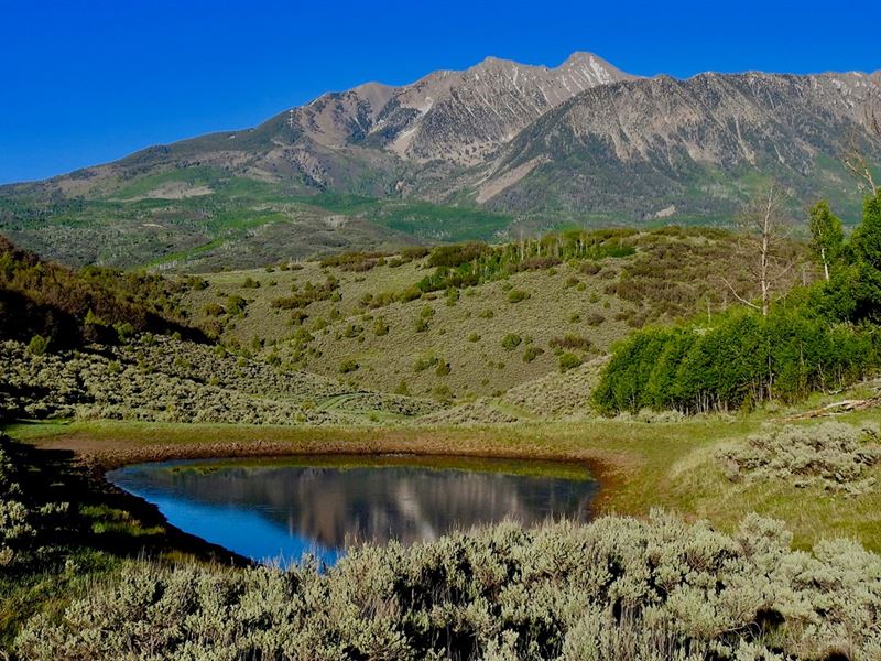 Colorado Gmu 521 Big Game Hunting : Somerset : Gunnison County : Colorado