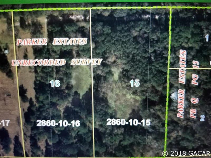 Wooded Acreage in Alachua, Florida : Alachua : Alachua County : Florida