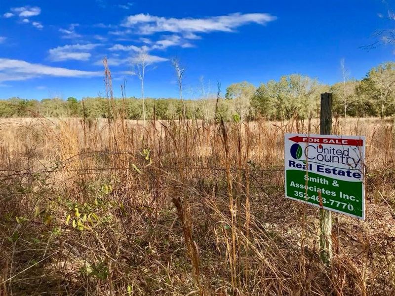 Land Bell North Florida Vacant Land for Sale in Bell, Gilchrist