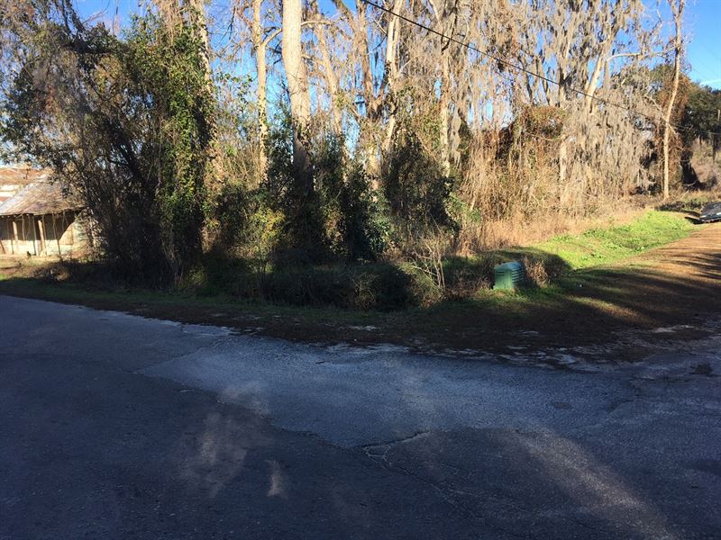 Land North Florida Tallahassee : Monticello : Jefferson County : Florida