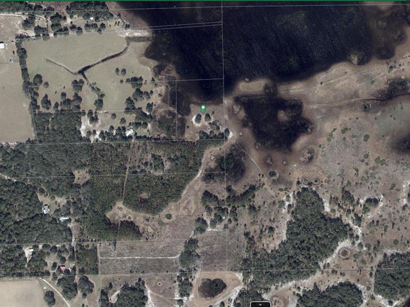 North Central Newberry Florida : Newberry : Alachua County : Florida