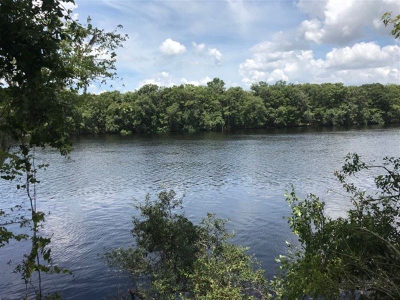 Suwannee River Waterfront Property : Old Town : Dixie County : Florida