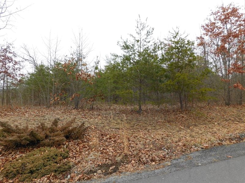 Building Lot in Oldtown MD : Oldtown : Allegany County : Maryland