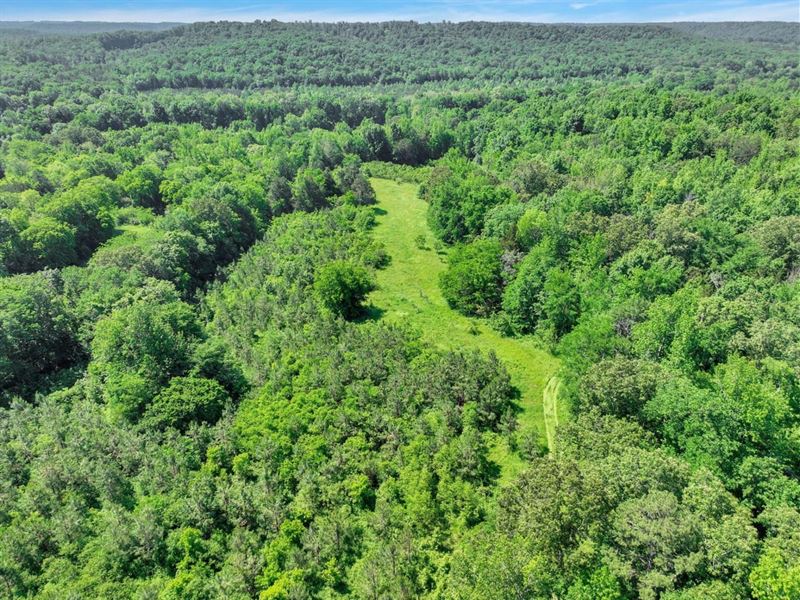 Prime Hunting & Recreation Land 51 : Clifton : Wayne County : Tennessee