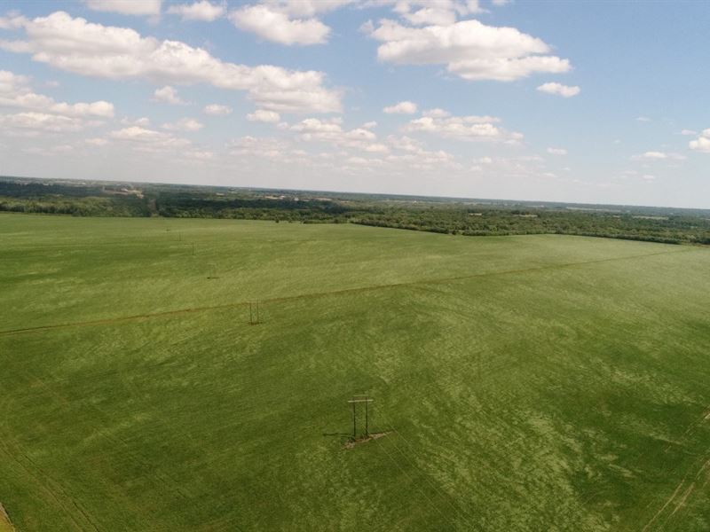 520 Bottom Row Crop Farm, Linn : Brookfield : Linn County : Missouri