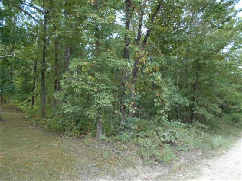Land for Sale : Cabool : Texas County : Missouri