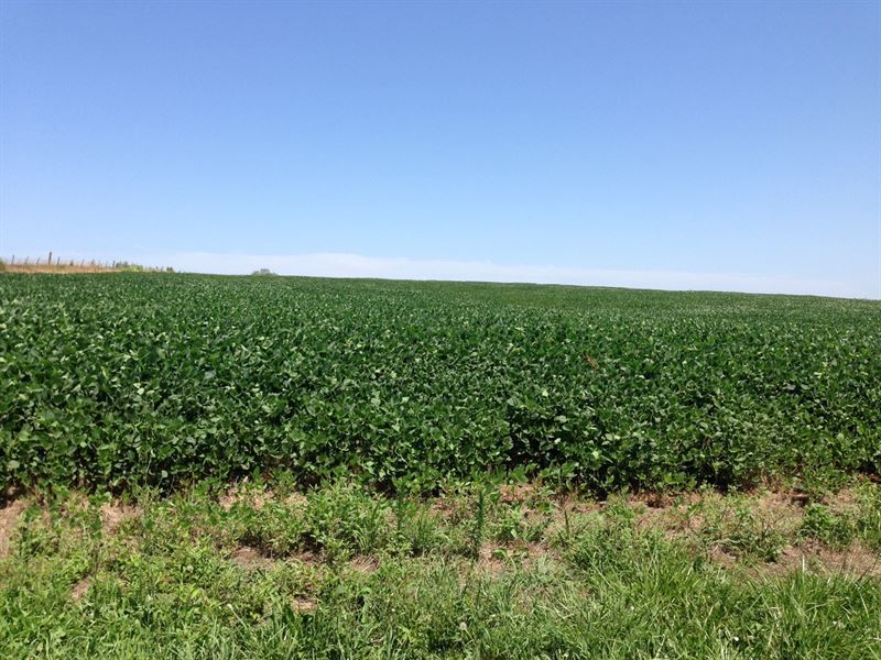 Nw MO High Producing Farm For Sale : Cameron : Caldwell County : Missouri