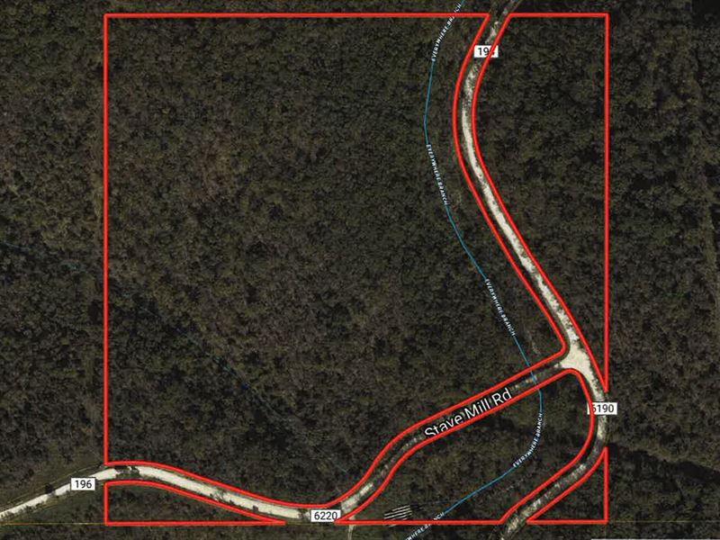 Wooded Acreage Near Rolla Missouri : Edgar Springs : Phelps County : Missouri