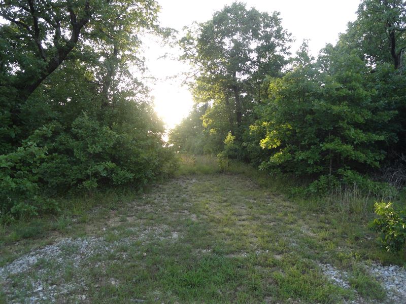 8 Wooded Acres : Eldridge : Laclede County : Missouri