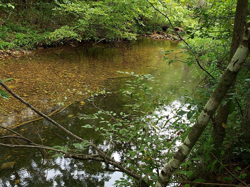 Hunting Property, Joins Gov't Land : Eminence : Shannon County : Missouri