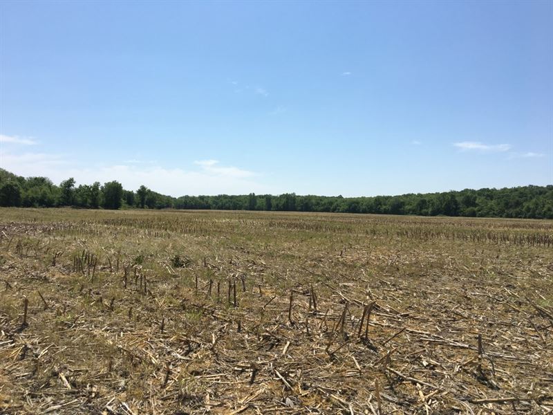 383 Acres, 4 Roi, Highly Tillable : Pattonsburg : Daviess County : Missouri