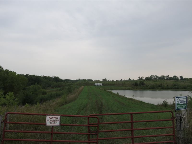 79 Acres M/L Building Site, Crp : Pattonsburg : Harrison County : Missouri