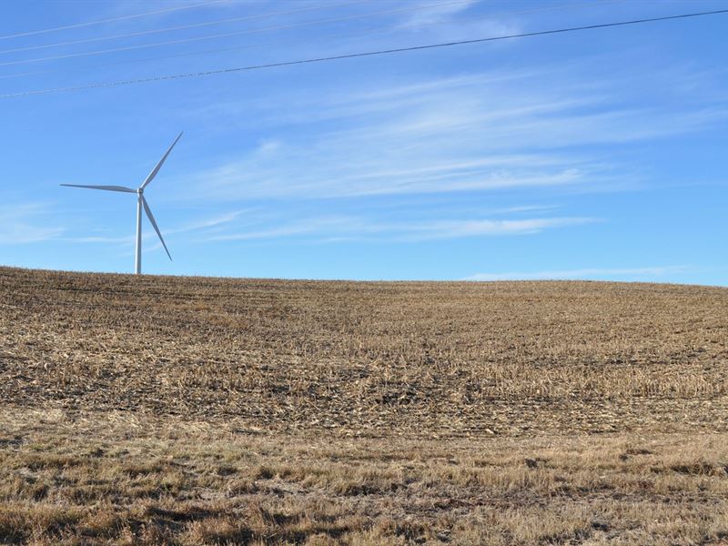 Highly Tillable Row Crop Farm : Maysville : Dekalb County : Missouri