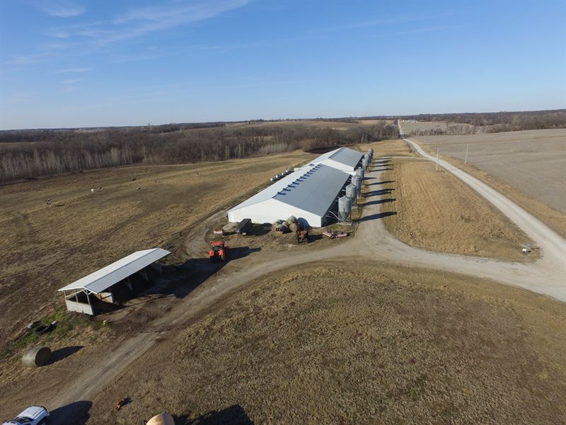 Income Producing Established Hog : Miami : Saline County : Missouri