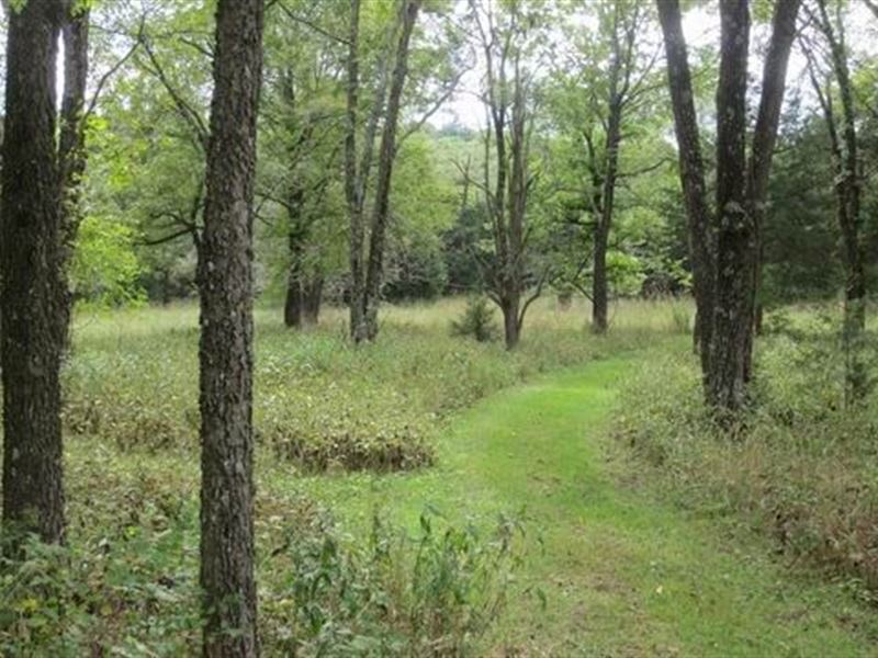 80 Acres, Hunting Cabin, Trail : Stockton : Saint Clair County : Missouri