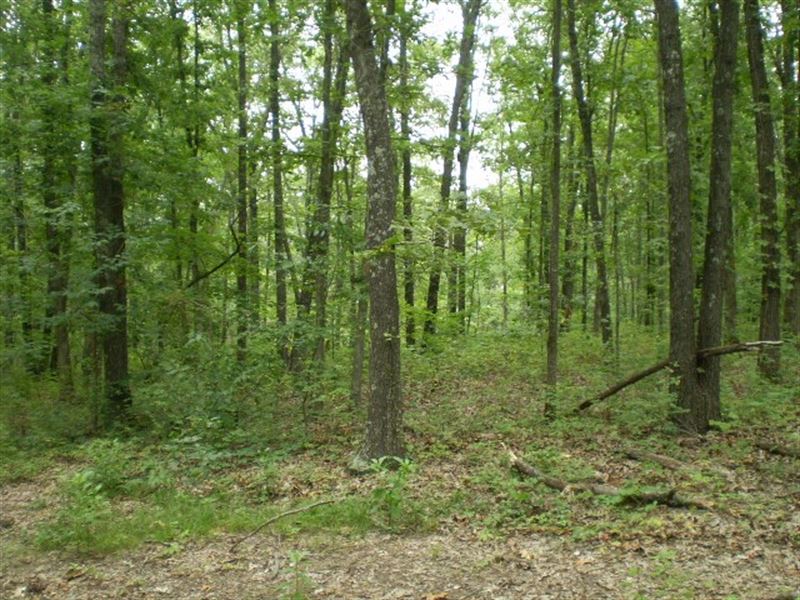 Recreational, Hunting Country Home : Stover : Morgan County : Missouri