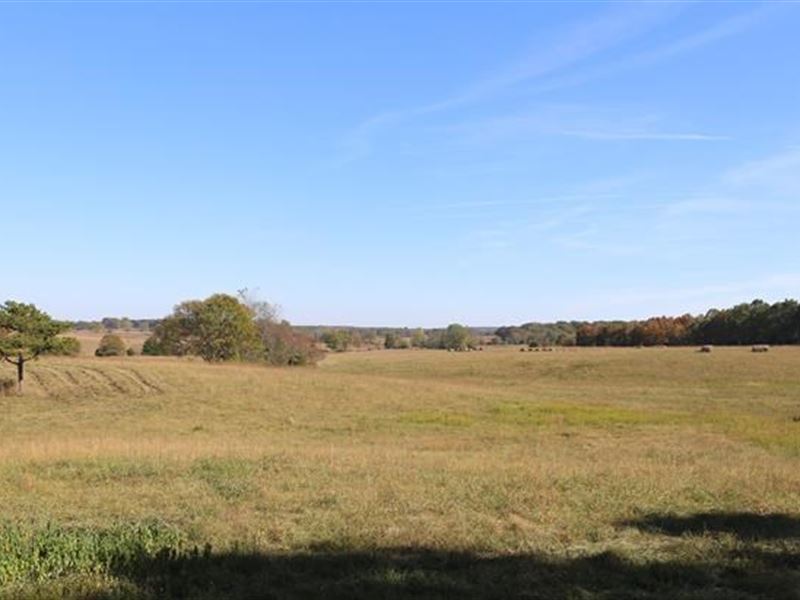 178 Acre Farm Texas Co, Missouri : Summersville : Texas County : Missouri