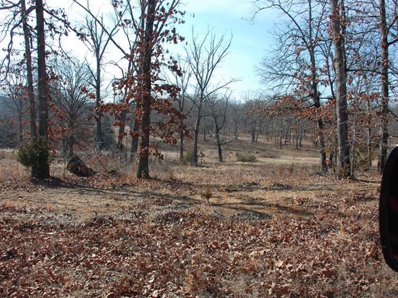 Residential Lots West Plains MO : West Plains : Howell County : Missouri