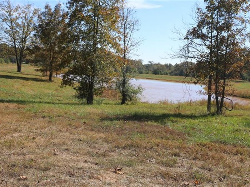Residential Lots Mo. Ozarks : West Plains : Howell County : Missouri