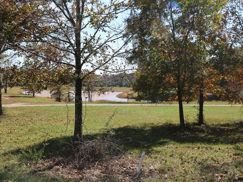 Residential Lots Mo. Ozarks : West Plains : Howell County : Missouri