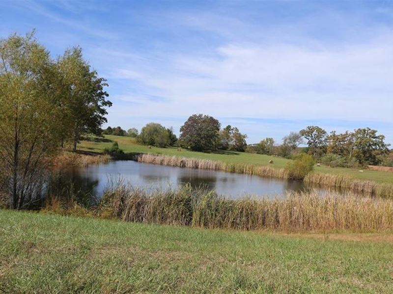 Residential Lots Mo. Ozarks : West Plains : Howell County : Missouri