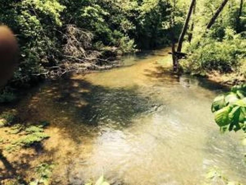 38 Acres Live Water, Joining : Winona : Oregon County : Missouri