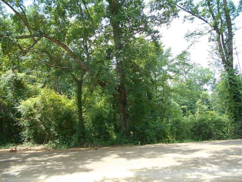 Land Lincoln County 93 Acres : Brookhaven : Lincoln County : Mississippi