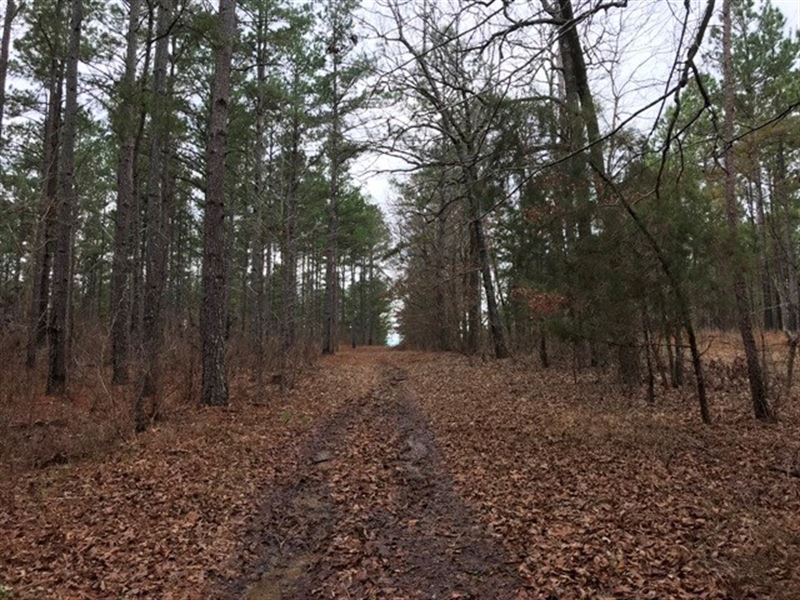 Land, Hwy 15, Mantee, MS 39751 : Mantee : Webster County : Mississippi