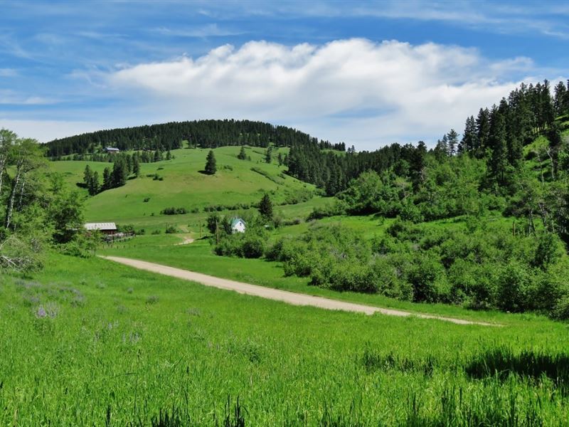 Lewistown Montana Mountain Ranch : Lewistown : Fergus County : Montana