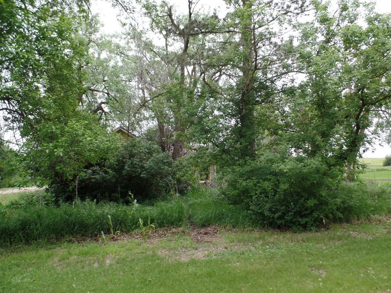Vacant Lot in Wibaux, Montana : Wibaux : Wibaux County : Montana