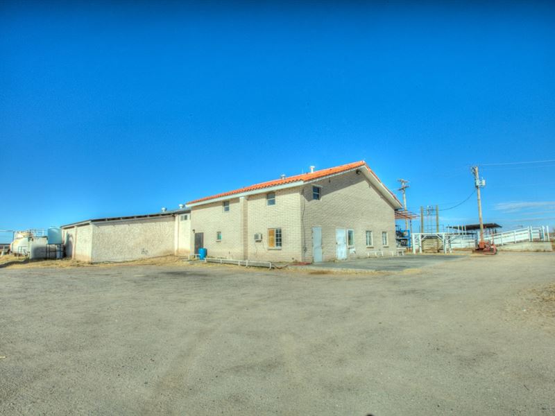 Dairy Farm, Anthony, Nm, Rio Grande : Anthony : Dona Ana County : New Mexico