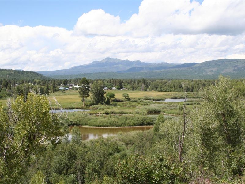 Chama River Frontage Land Chama NM : Chama : Rio Arriba County : New Mexico