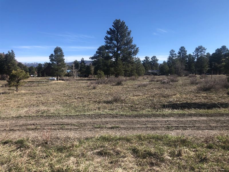Beautiful Site Next to 20,000 Acre : Chama : Rio Arriba County : New Mexico