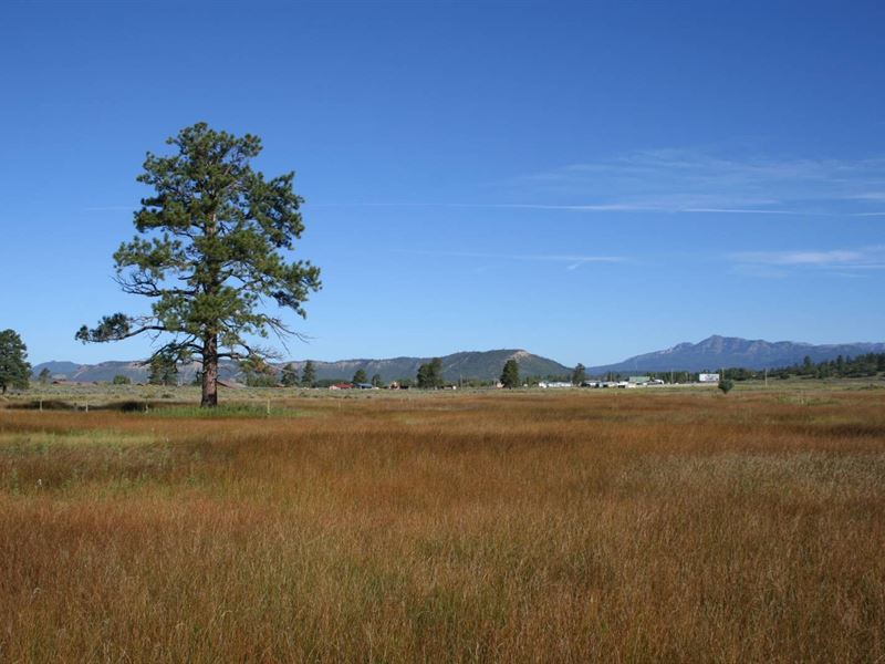 Land Chama NM River Access Level : Chama : Rio Arriba County : New Mexico