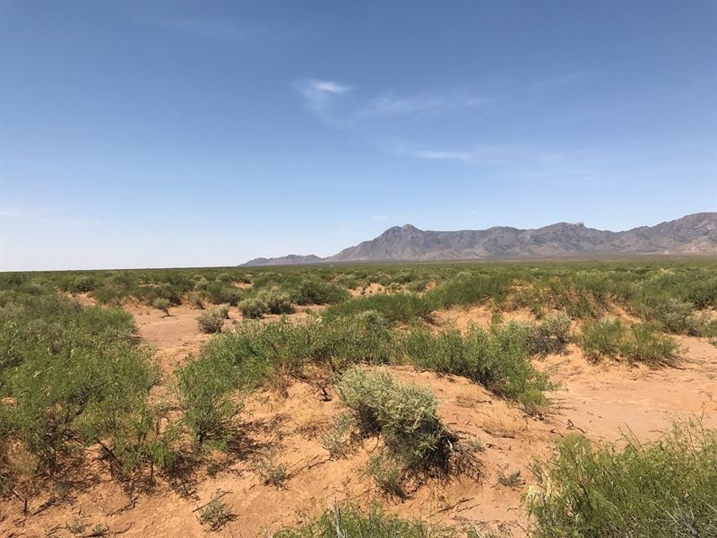 Land in Southwest New Mexico Land for Sale in Deming, Luna County