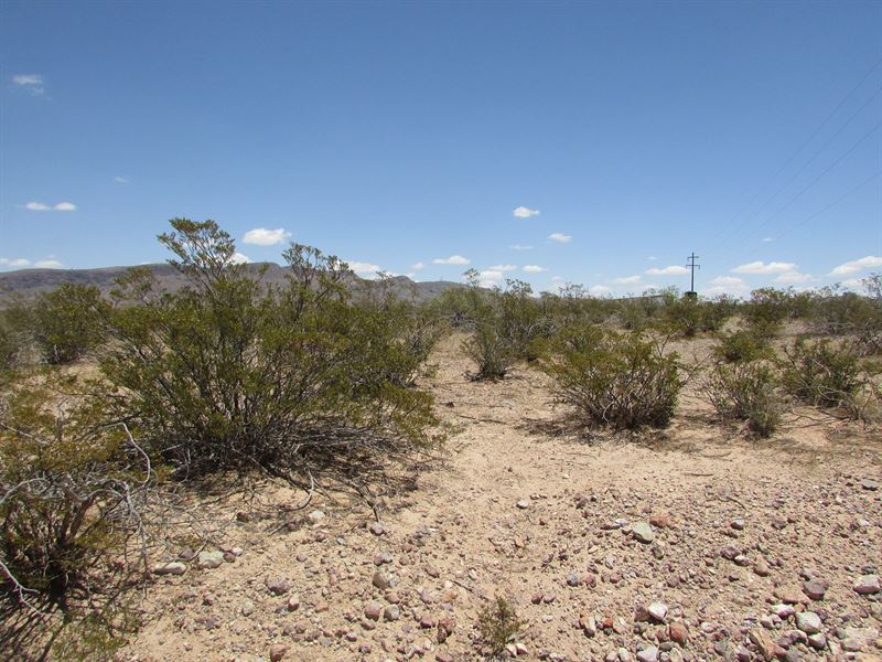 Land for Sale in Deming NM : Deming : Luna County : New Mexico