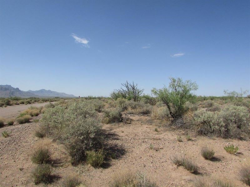 Land For Sale in Deming NM Land for Sale in Deming, Luna County, New