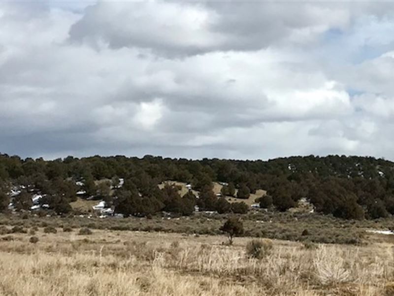 Investor Real Estate Opportunity : El Vado : Rio Arriba County : New Mexico