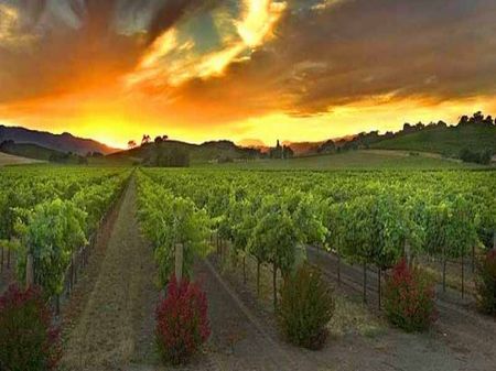 Spectacular Lot Half Mile Fro Lake : Canyon Lake : Riverside County : California