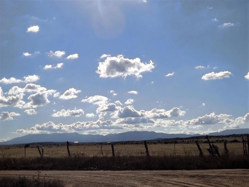 5 Acre Tract Estancia New Mexico : McIntosh : Torrance County : New Mexico