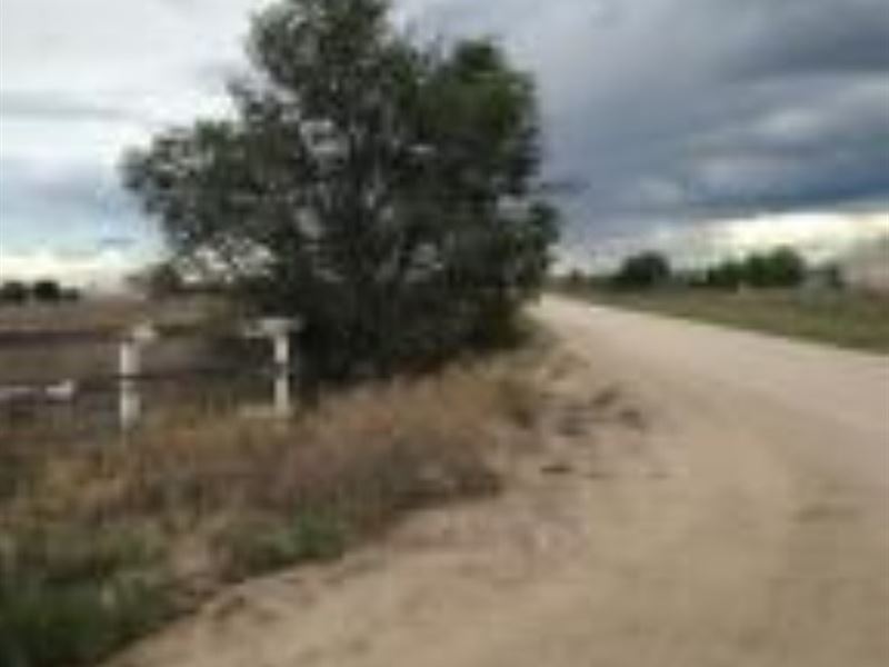 Torrance County NM Vacant : Moriarty : Torrance County : New Mexico