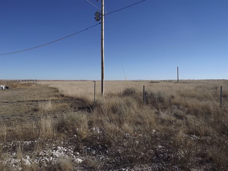 Two 1/2 Acre Manufactured Home Lots : Moriarty : Torrance County : New Mexico