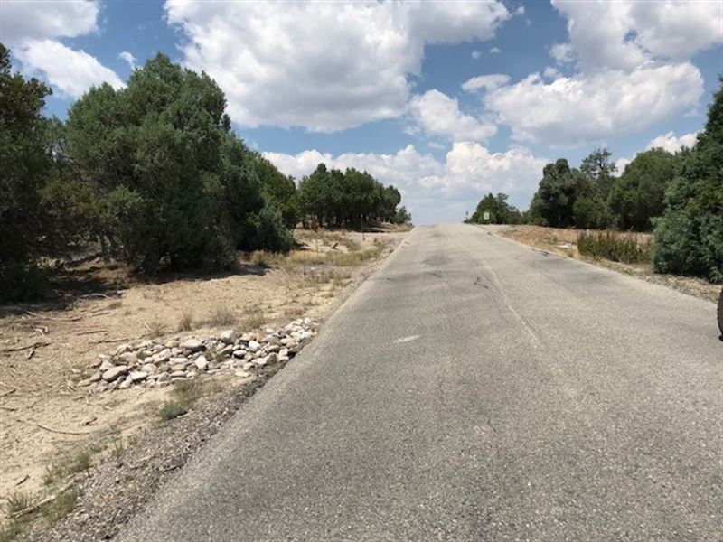 Land South Chama NM New Heron Lake : Rutheron : Rio Arriba County : New Mexico
