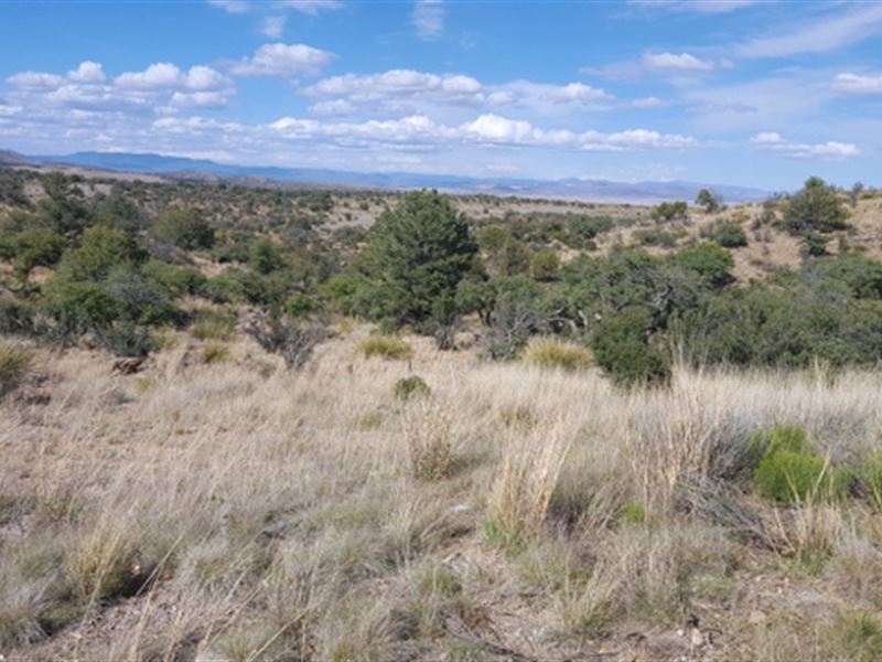 Silver City, NM Land for Sale : Silver City : Grant County : New Mexico