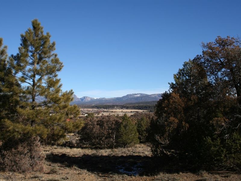 Land Heron Lake Northern NM Brazos Land for Sale in Tierra Amarilla