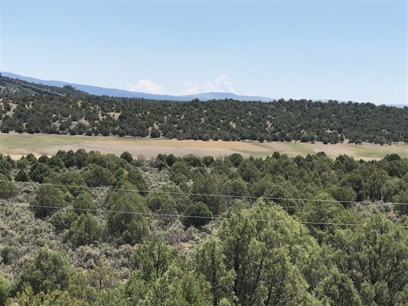 Land El Vado Lake Greatr Views : Tierra Amarilla : Rio Arriba County : New Mexico
